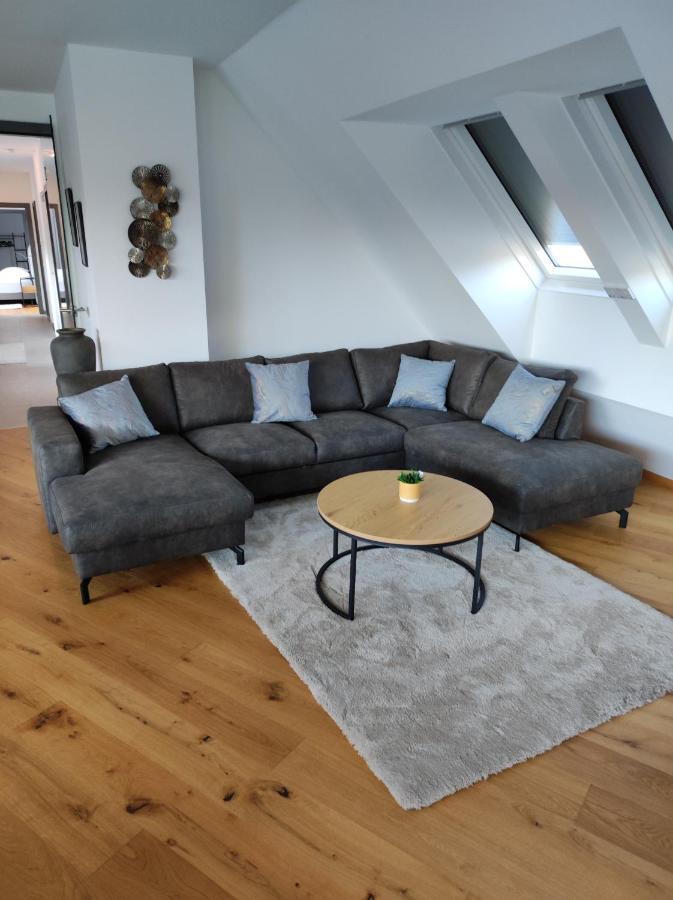 Luxurioeses Penthouse Mit Blick Auf Die Uno-City Und Dem Kaiserwasser. 3Schlafzimmer, 2 Baeder, Privat Lift Ins Apartment Wien Exterior foto